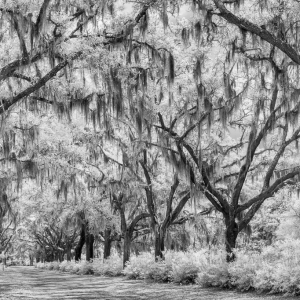 Restful Place