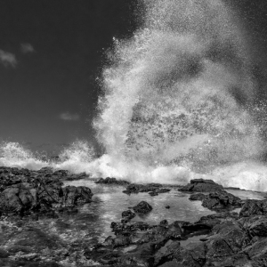 Sea Splendor