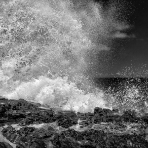 Sea Vitality