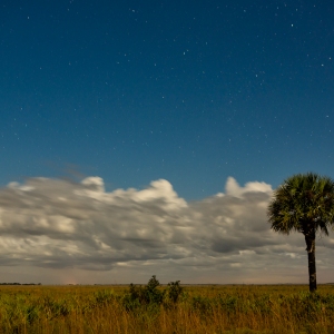 Starry Night