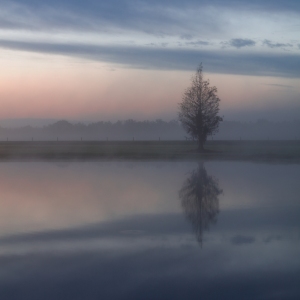 Stillness Awaits