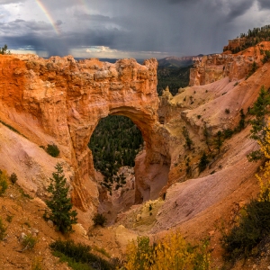 Storm Approaching