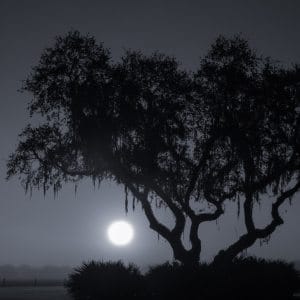 Sunrise Through the Fog-Monochrome