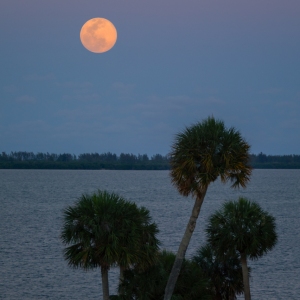Super Pink Moon