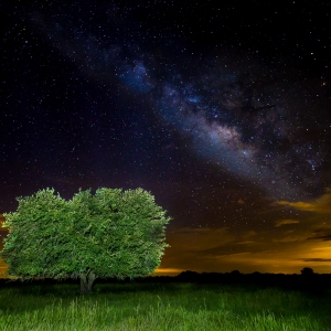 The Heavens Declare His Glory