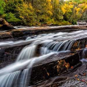 The Little River
