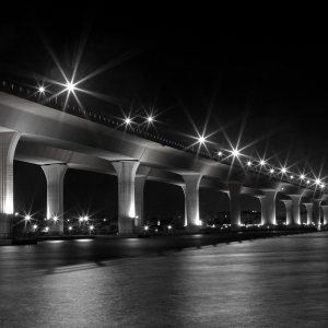 The Roosevelt at Night II