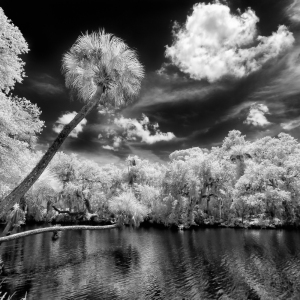 The Saint Lucie River