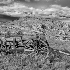 Wayward Wagon