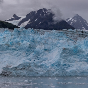 Wild Alaska