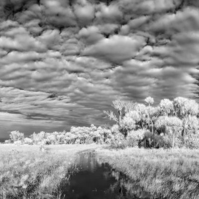 A Day on the Prairie