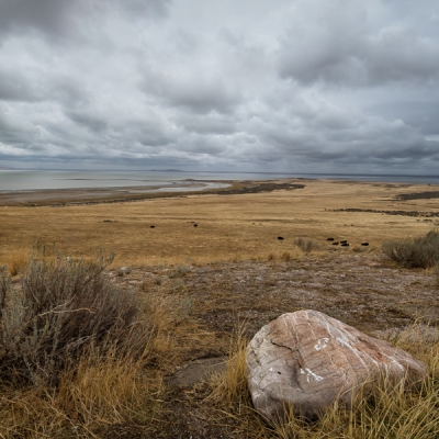 Antelope Island State Park
