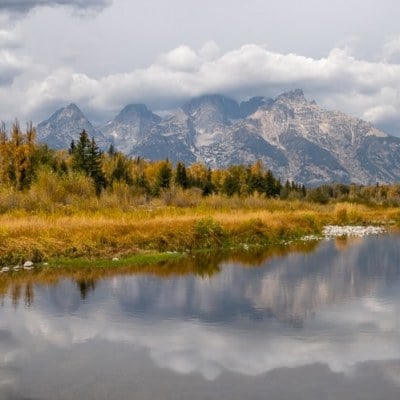 Autumn Mood
