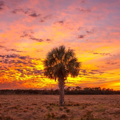 Blazing Skies-Panorama