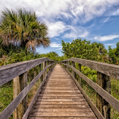 Boardwalk to the Beach