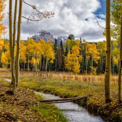 Deb's Meadow