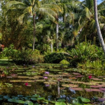 McKee Botanaical Garden