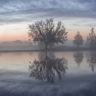 Misty Silence