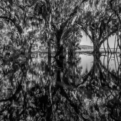 Myakka River State Park