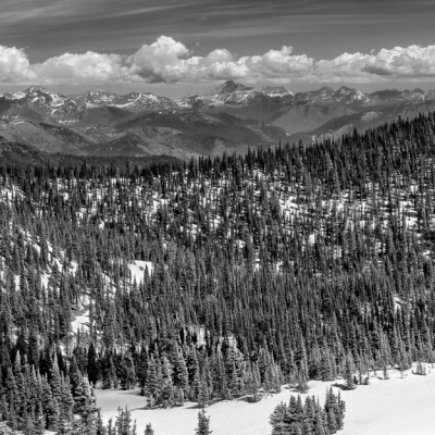 Spring at Big Mountain II