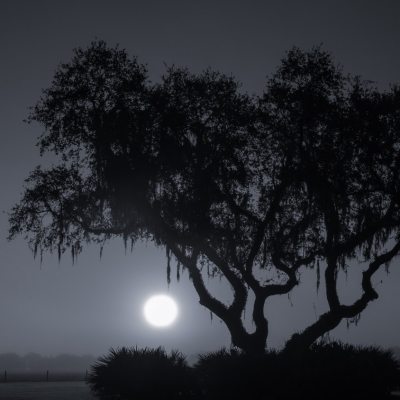 Sunrise Through the Fog-Monochrome