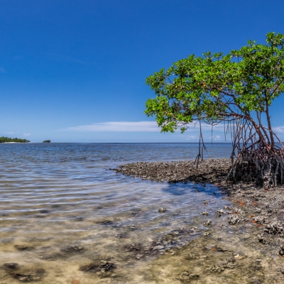 Ten Thousand Islands