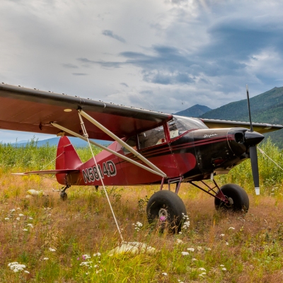 Waiting and Ready II