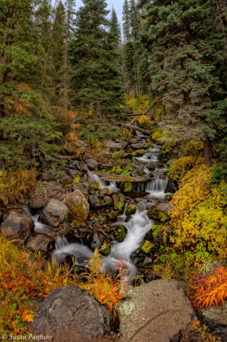 Fall Serenity