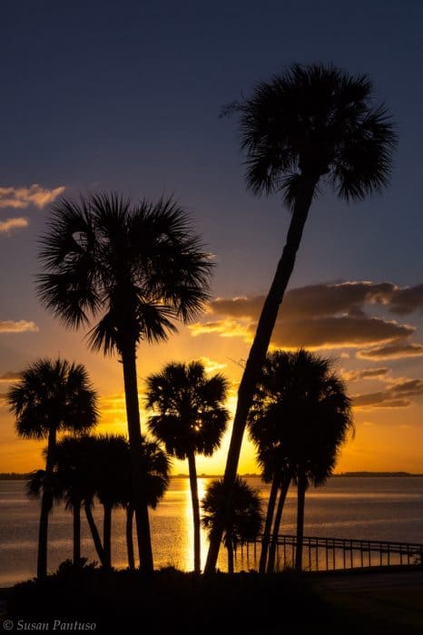 Florida Sunrise III
