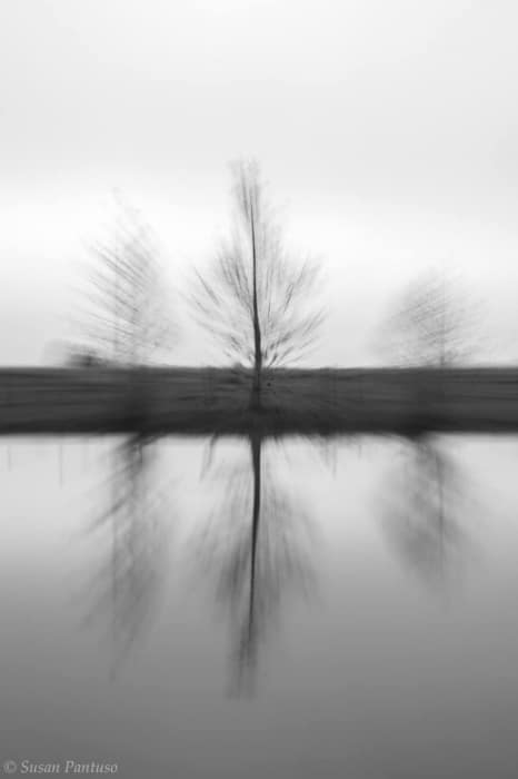 Foggy Moods