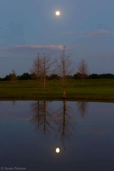 Restful