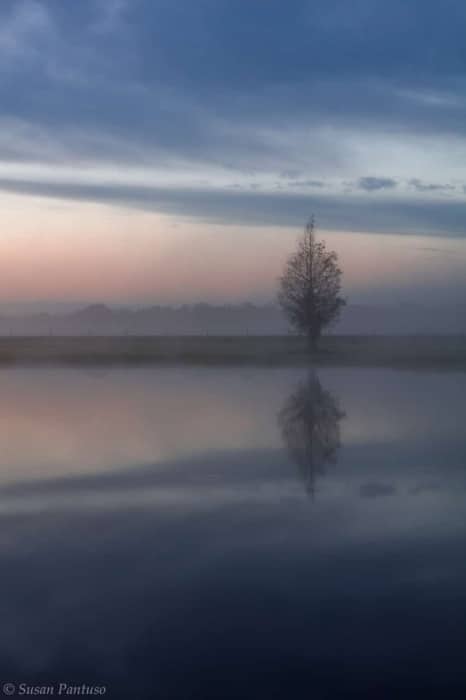 Stillness Awaits