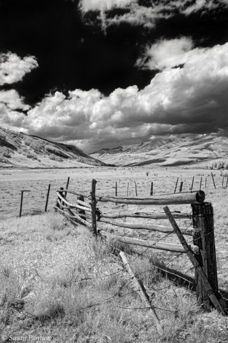 The Old Rugged Fence