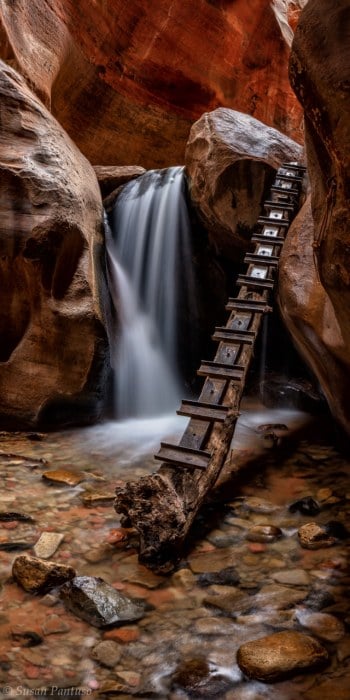 The Way