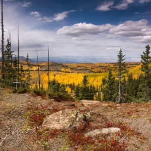 Autumn Splendor