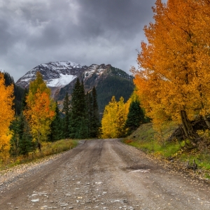 Autumn State of Mind