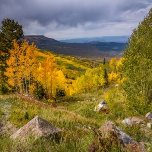 Grand Mesa Autumn