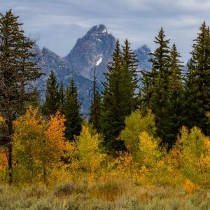 Grand Teton Autumn