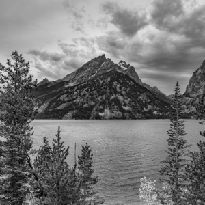 Inspiration at Jenny Lake