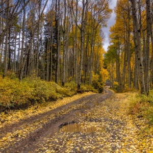 Take Me Home Country Road