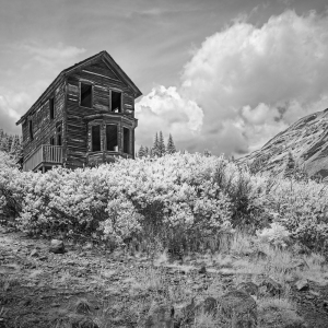 The Bay Window House